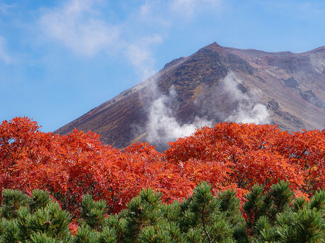 旭岳の紅葉🍁🍂