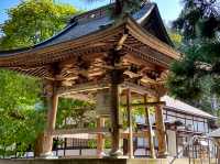 報恩寺で歴史に触れ、心を整える🕊️