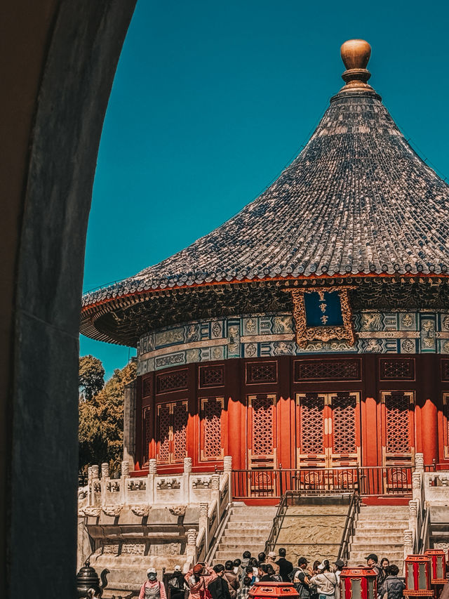  A Walk Through Harmony: Spring Reflections at Temple of Heaven Park