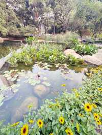 香港｜紅棉路婚姻登記處