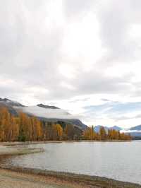 That Wanaka Tree - the lonely creature in the lake