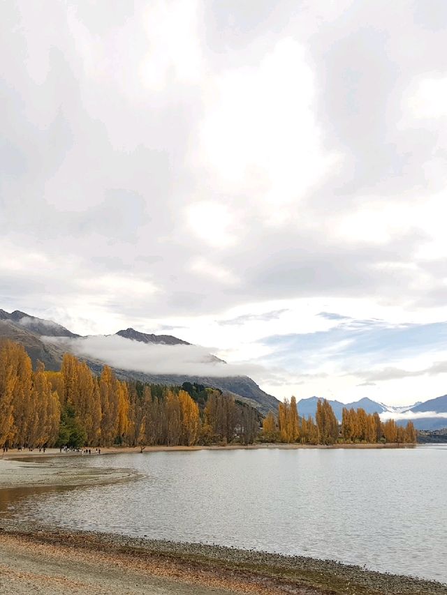 That Wanaka Tree - the lonely creature in the lake