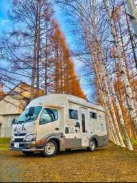 北海道賞楓露營行程建議（7天版）