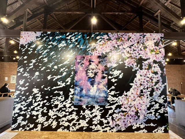 弘前れんが倉庫美術館 
