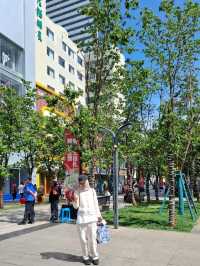 COLOURFUL PEACOCKS OF NANPING PEDESTRIAN STREET