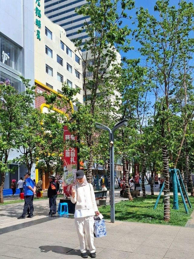 COLOURFUL PEACOCKS OF NANPING PEDESTRIAN STREET