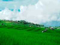 นาขั้นบันไดที่ใหญ่และสวยงามมาก