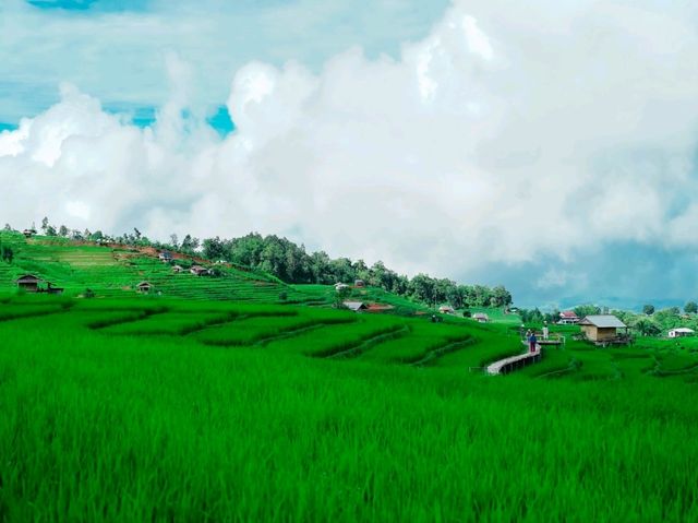 นาขั้นบันไดที่ใหญ่และสวยงามมาก