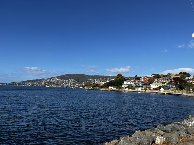 Explore Hobart on the Red Decker
