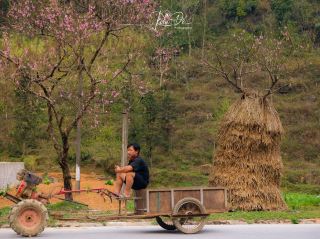 Hà Giang