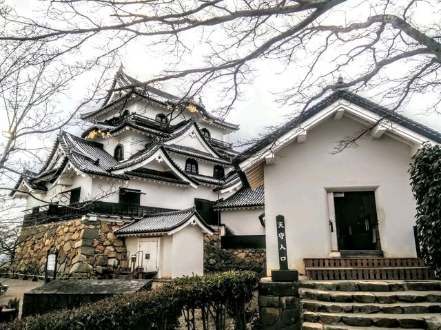 #彥根城-日本滋賀縣彥根市