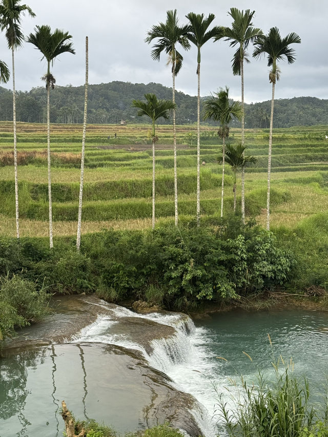 Sumba Tana Humba  (Tana Humba meaning Tanah Asli
