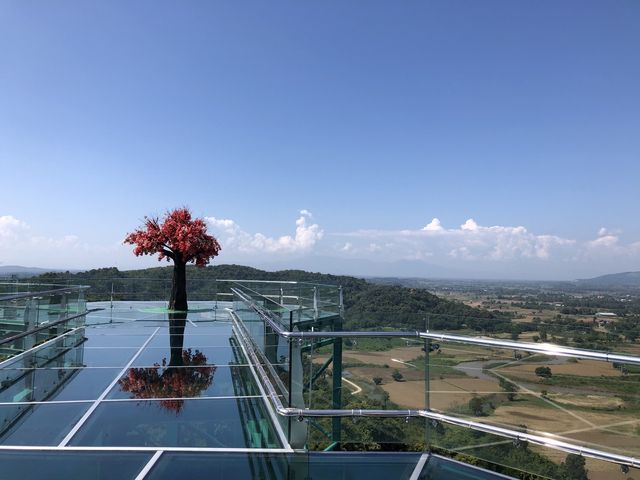 🛕寺院の山頂にガラス張りの絶景❣️🥰