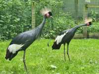 A Family Day Out at Lotherton Hall: Nature and Wildlife