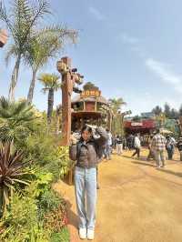 พาตะลุยโซนดองกี้คอง Donkey Kong Country (USJ)🐒