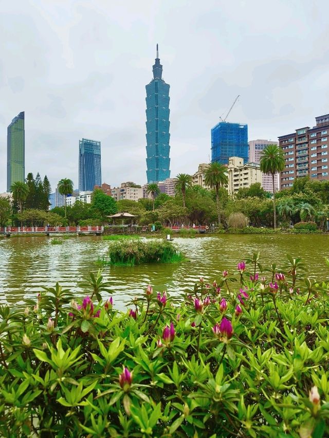 A Stunning City View from a Peaceful Lake