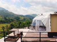 เว-นิส บ้านเวร