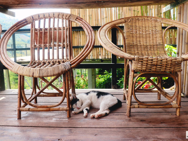 เว-นิส บ้านเวร