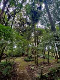 Chiang Mai’s Springtime Paradise