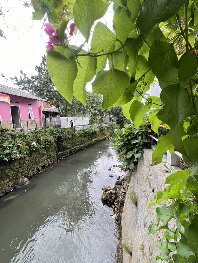 Volunteering & Explore Pasar Dongko In Mothers Day🤩🫶🏻