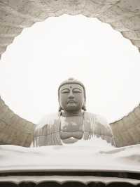 🇯🇵 Big Buddha Energy: One Peaceful Day in Hokkaido