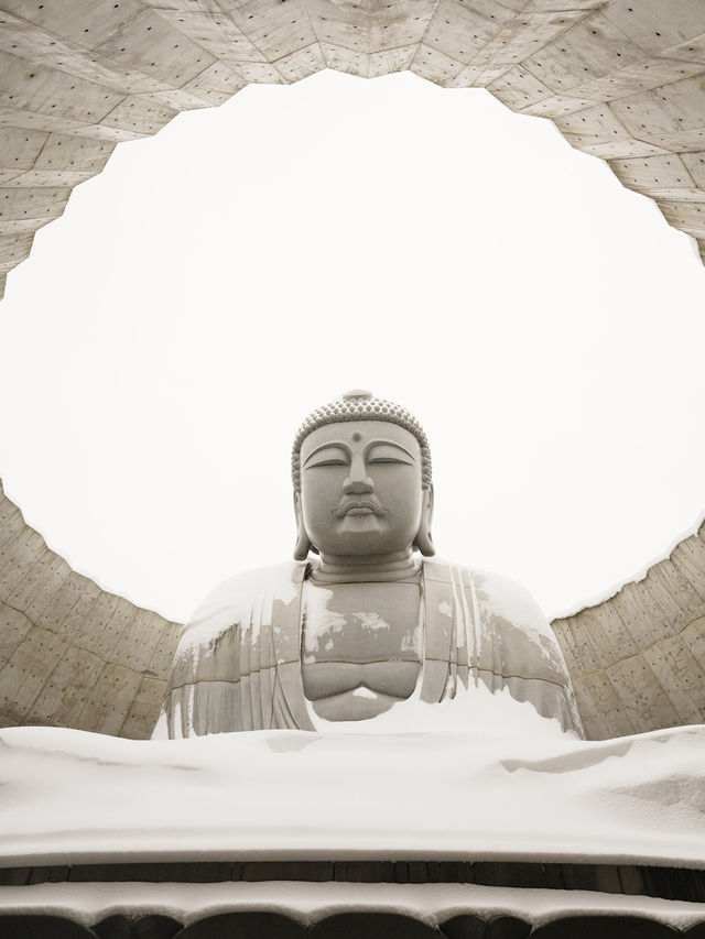 🇯🇵 Big Buddha Energy: One Peaceful Day in Hokkaido