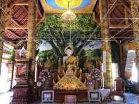 🤩 ไหว้พระ ชมพระอาทิตย์ขึ้น วัดภูเก็ต จ.น่าน