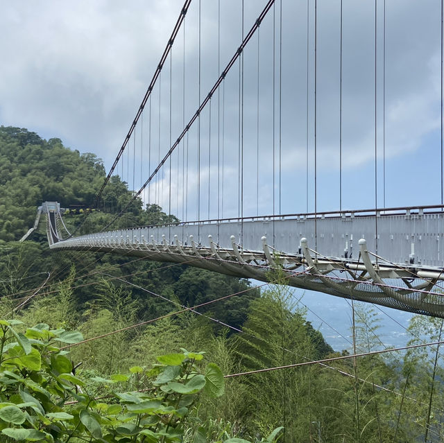 太平雲梯｜全台最高、最長的景觀吊橋 🌉