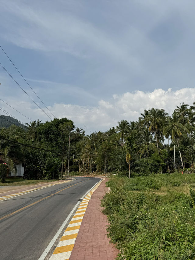 크라비 최고의 수영장🌴😍
