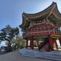 해운대 여행 필수코스