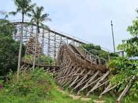 Roaring Timber 🎢 เครื่องเล่นสุดมันส์