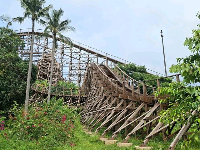 Roaring Timber 🎢 เครื่องเล่นสุดมันส์