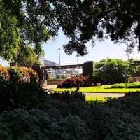 A Green Escape: Royal Botanic Garden Sydney
