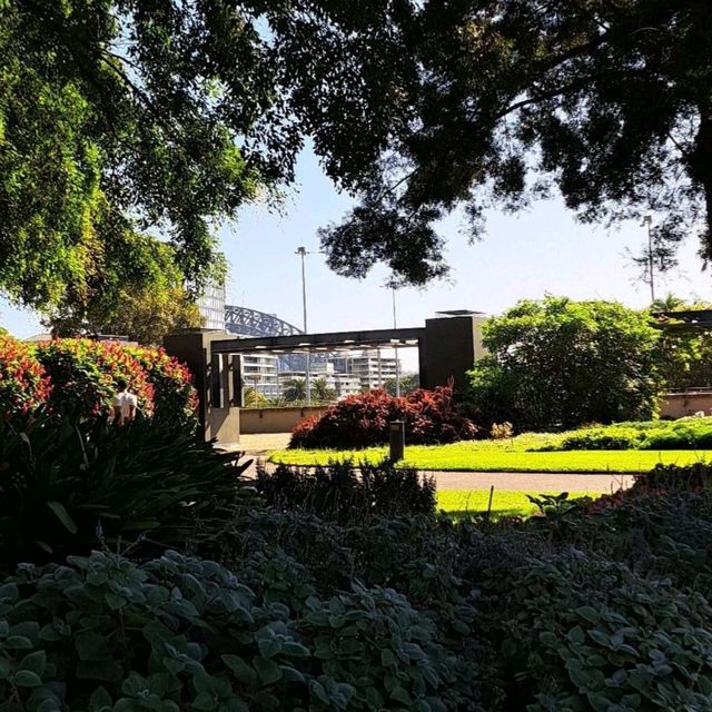 A Green Escape: Royal Botanic Garden Sydney