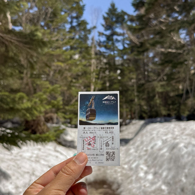 “Shinhotaka Ropeway”  in Takayama 🏔️🌲🇯🇵