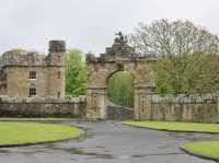 A Rain-Kissed Spring at Culzean: Blooms, Castles, and Enchanted Woods