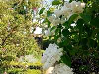 Romance in Bloom: A Day at Sissinghurst Castle Garden, Kent