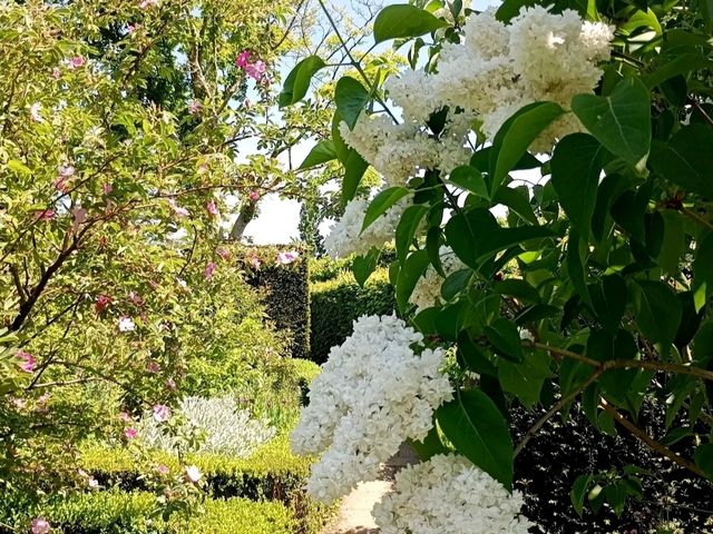 Romance in Bloom: A Day at Sissinghurst Castle Garden, Kent