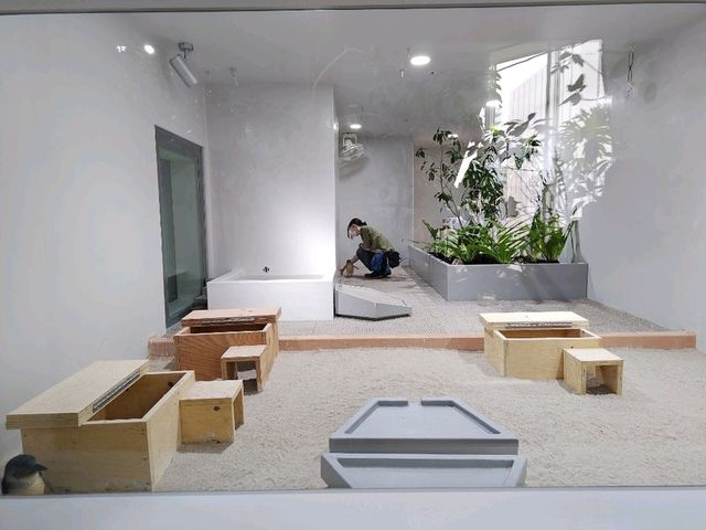 札幌景點｜2023年新開幕城市中的海洋世界~AOAO SAPPORO