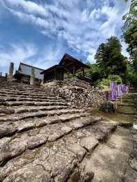 A Slow Day in Fukui – Dinosaurs, Temples & Sweet Treats