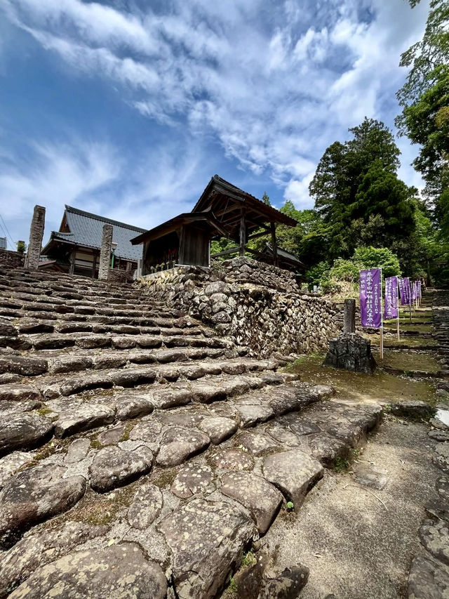 A Slow Day in Fukui – Dinosaurs, Temples & Sweet Treats