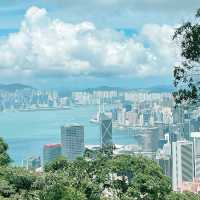 山頂打卡