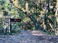 Hachiōji Castle Ruins – A Historical Hideaway in the Mountains of Tokyo