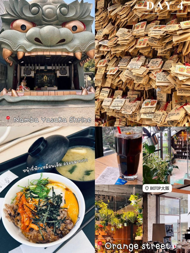 OSAKA 8DAY 7NIGHT งบไม่เกิน 27,000 มีอยู่จริง