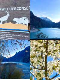 History, hospitality, Himalayas — pakis