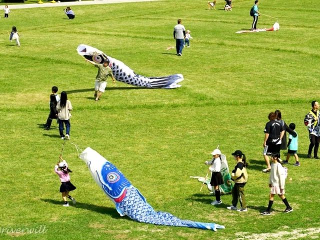 【山口県】山口のこいのぼりは川を泳ぐ！「佐波川のこいながし」