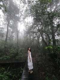 KhaoYai 🌳🍃
