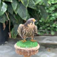 たくさんの種類の鳥に間近で会える動物園🕊️🤍