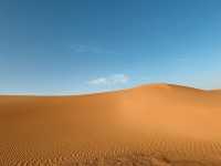 A Magical Journey into the Sahara 🐪🌍 