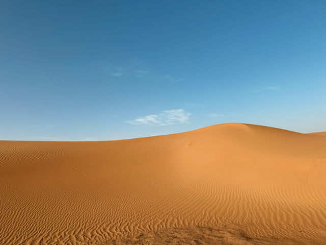 A Magical Journey into the Sahara 🐪🌍 